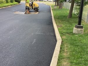 8205 W Golf Niles - Resurface