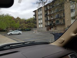 CVS Seal Coat & Stripe